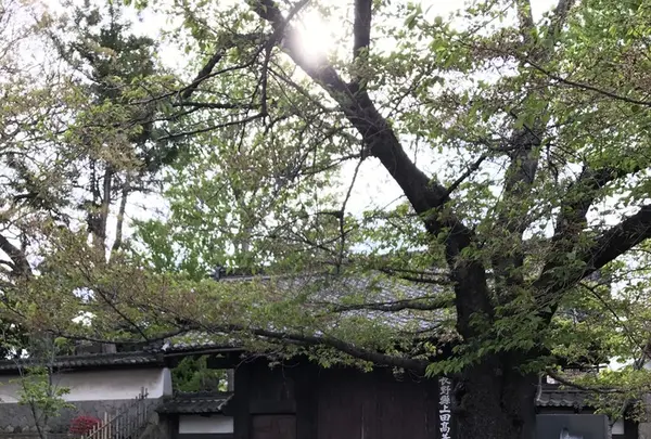 長野県上田高校の写真・動画_image_131925