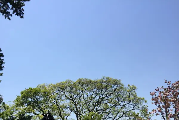 アメリカ山公園の写真・動画_image_131948