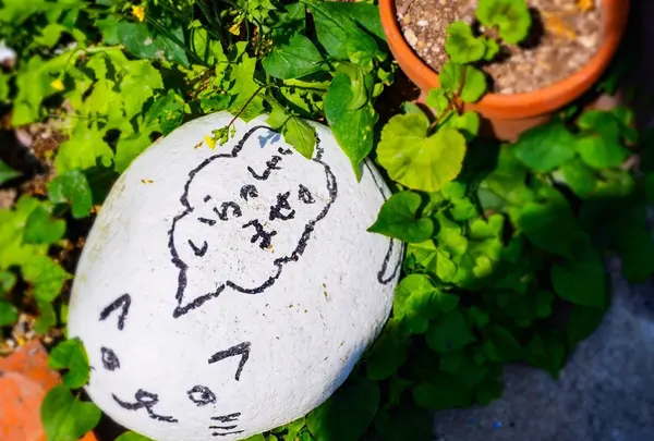 よつばカフェの写真・動画_image_131958