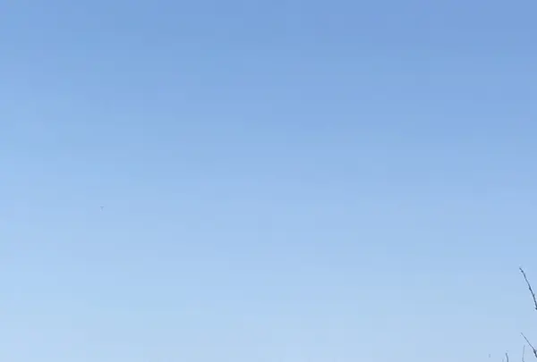 大山の写真・動画_image_132022