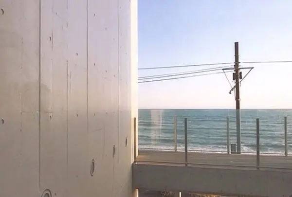 bills 七里ヶ浜の写真・動画_image_132032