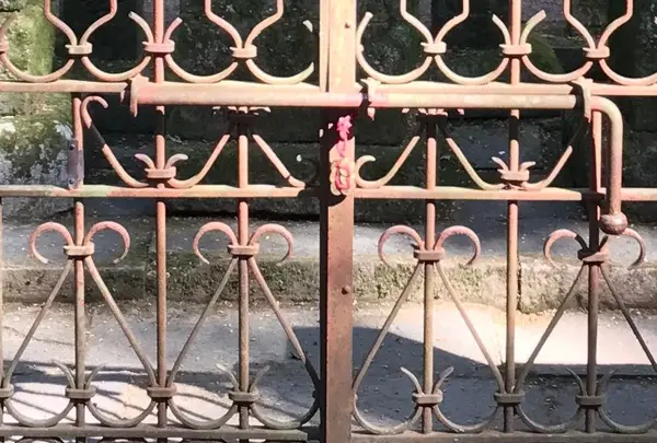 長谷寺の写真・動画_image_132035