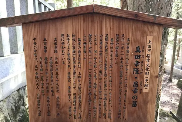 長谷寺の写真・動画_image_132044
