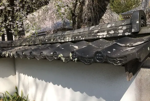 長谷寺の写真・動画_image_132046