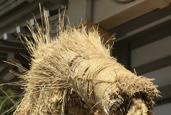 長谷寺の写真・動画_image_132047