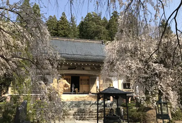 長谷寺の写真・動画_image_132048