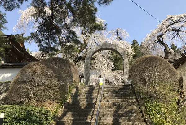 長谷寺の写真・動画_image_132049