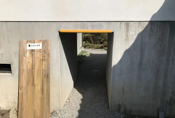 長谷寺の写真・動画_image_132050