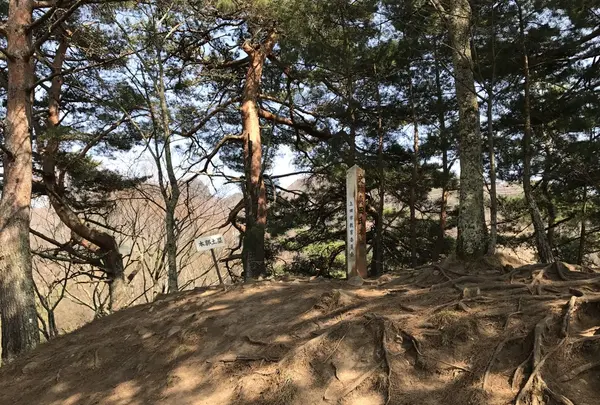 真田氏本城跡の写真・動画_image_132055