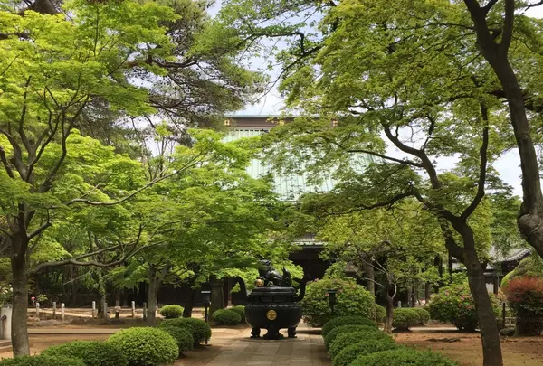 豪徳寺の写真・動画_image_132210