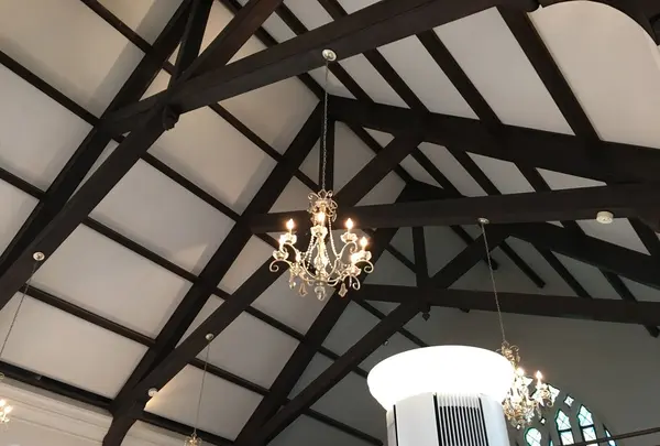 フロインドリーブの写真・動画_image_132303