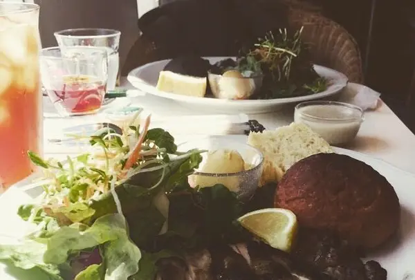 ｅ−ｄｏｇＣａｆｅの写真・動画_image_132339