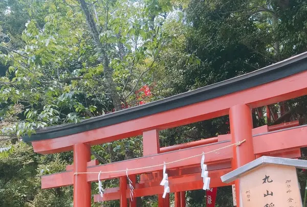 鶴岡八幡宮の写真・動画_image_132354