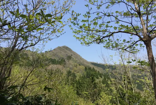 莇ケ岳の写真・動画_image_132408