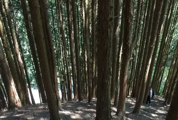 莇ケ岳の写真・動画_image_132409