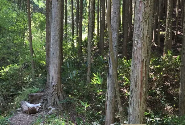 莇ケ岳の写真・動画_image_132410