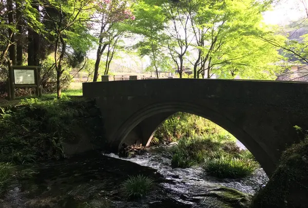 池山水源の写真・動画_image_132460