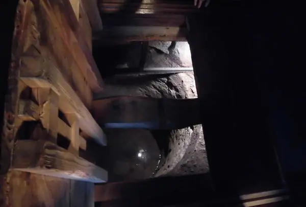 甲賀流忍術屋敷の写真・動画_image_132492