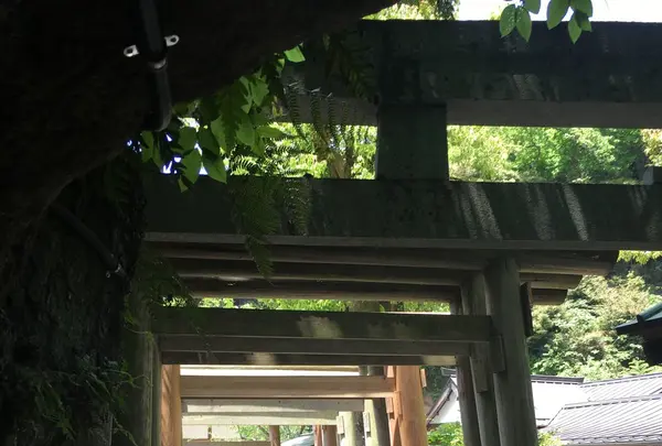 銭洗弁財天 宇賀福神社の写真・動画_image_132521