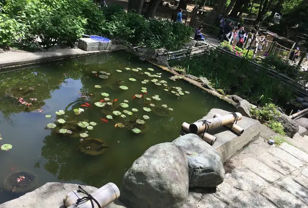 葛原岡神社の写真・動画_image_132525