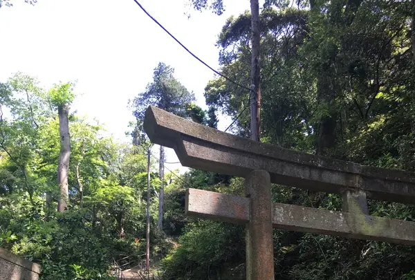 円覚寺の写真・動画_image_132532