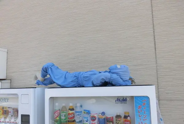 伊賀上野銀座商店街振興組合の写真・動画_image_132556