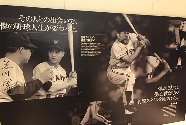 墨田区総合体育館の写真・動画_image_132616