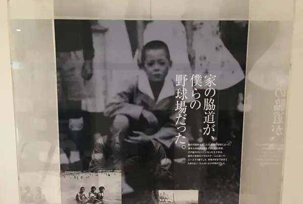 墨田区総合体育館の写真・動画_image_132617