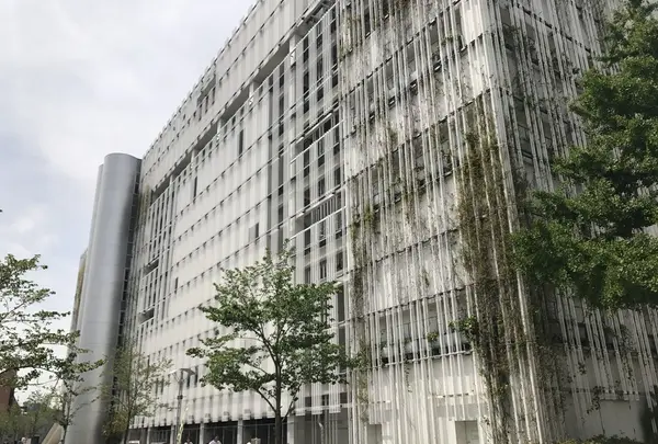 墨田区総合体育館の写真・動画_image_132627