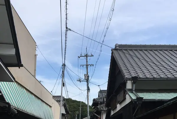 玄米心食 あいすなおの写真・動画_image_132643
