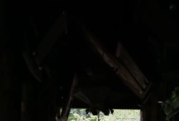 長谷寺の写真・動画_image_132654