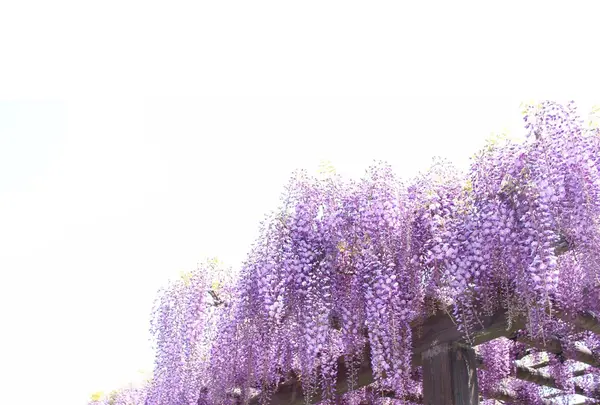 上下水道局 鳥羽水環境保全センターの写真・動画_image_132667