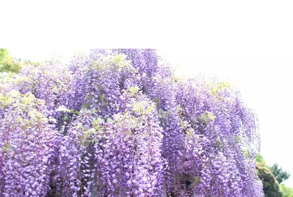 上下水道局 鳥羽水環境保全センターの写真・動画_image_132668