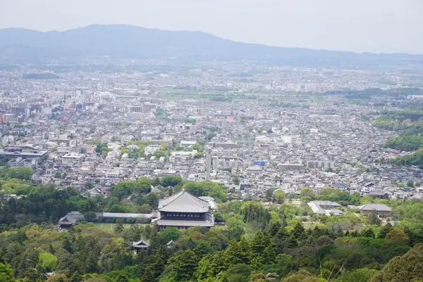 若草山の写真・動画_image_132677