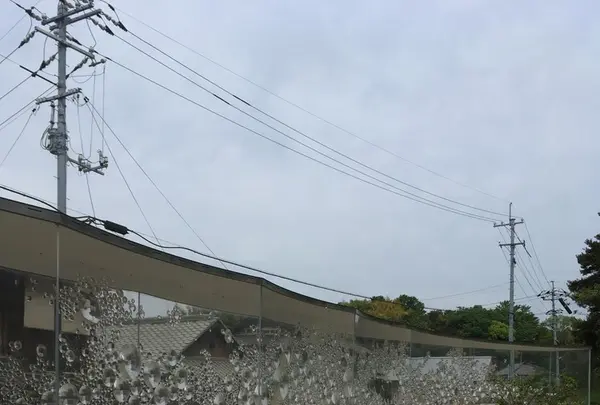 犬島ハウスプロジェクトの写真・動画_image_132686