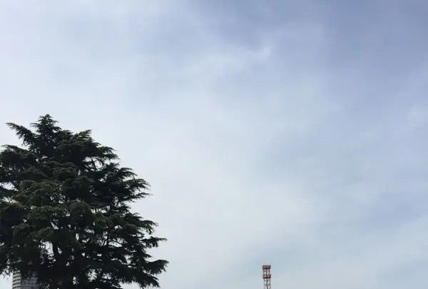 ヴェルニー公園の写真・動画_image_132762