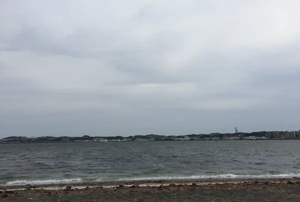 猿島の写真・動画_image_132770