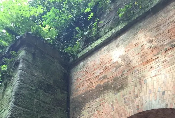 猿島の写真・動画_image_132771