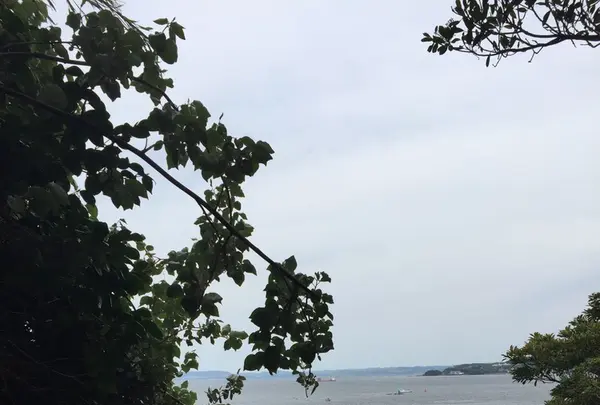 猿島の写真・動画_image_132773