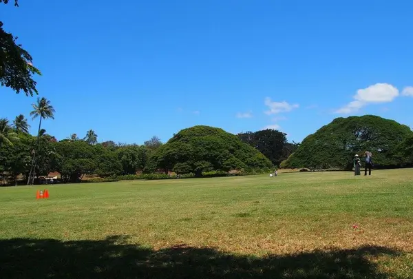 モアナルア・ガーデンズの写真・動画_image_132835