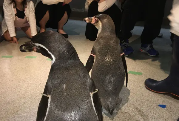 虹の森公園四万十川学習センターおさかな館の写真・動画_image_132865