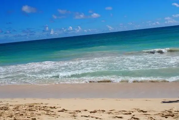 ワイマナロ・ビーチ・パークの写真・動画_image_132885