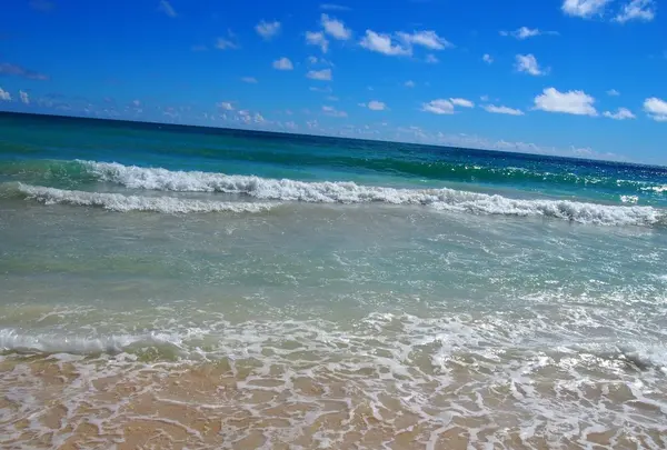 ワイマナロ・ビーチ・パークの写真・動画_image_132886