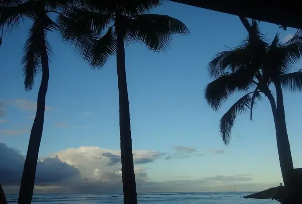 ザ ベランダの写真・動画_image_132891