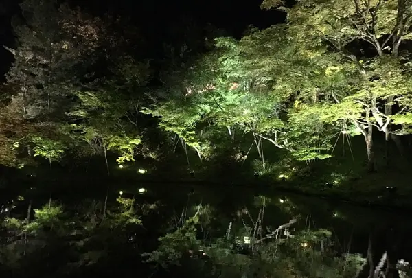 高台寺の写真・動画_image_132963