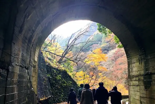 神戸岩の写真・動画_image_133015