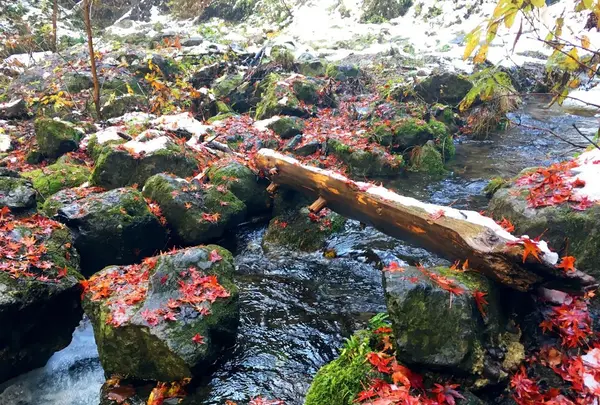 神戸岩の写真・動画_image_133017