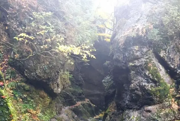 神戸岩の写真・動画_image_133020