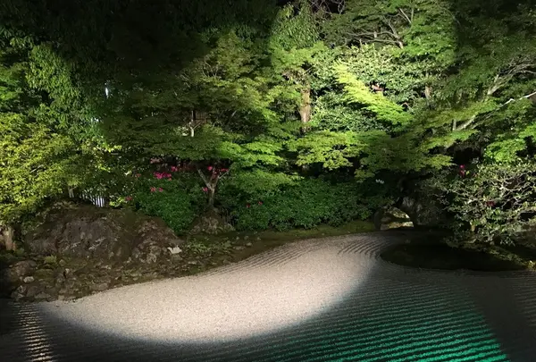 圓徳院の写真・動画_image_133046