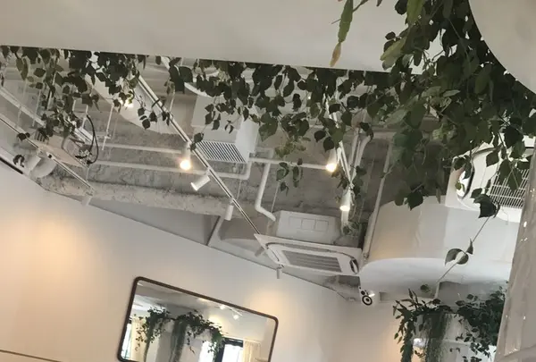 【閉業】ELLE cafe AOYAMA エルカフェ青山の写真・動画_image_133055